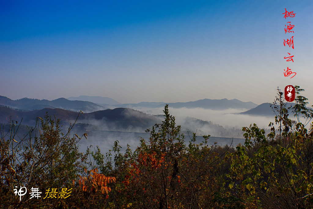 DSC03755_.jpg