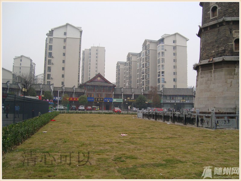DSC06485.jpg