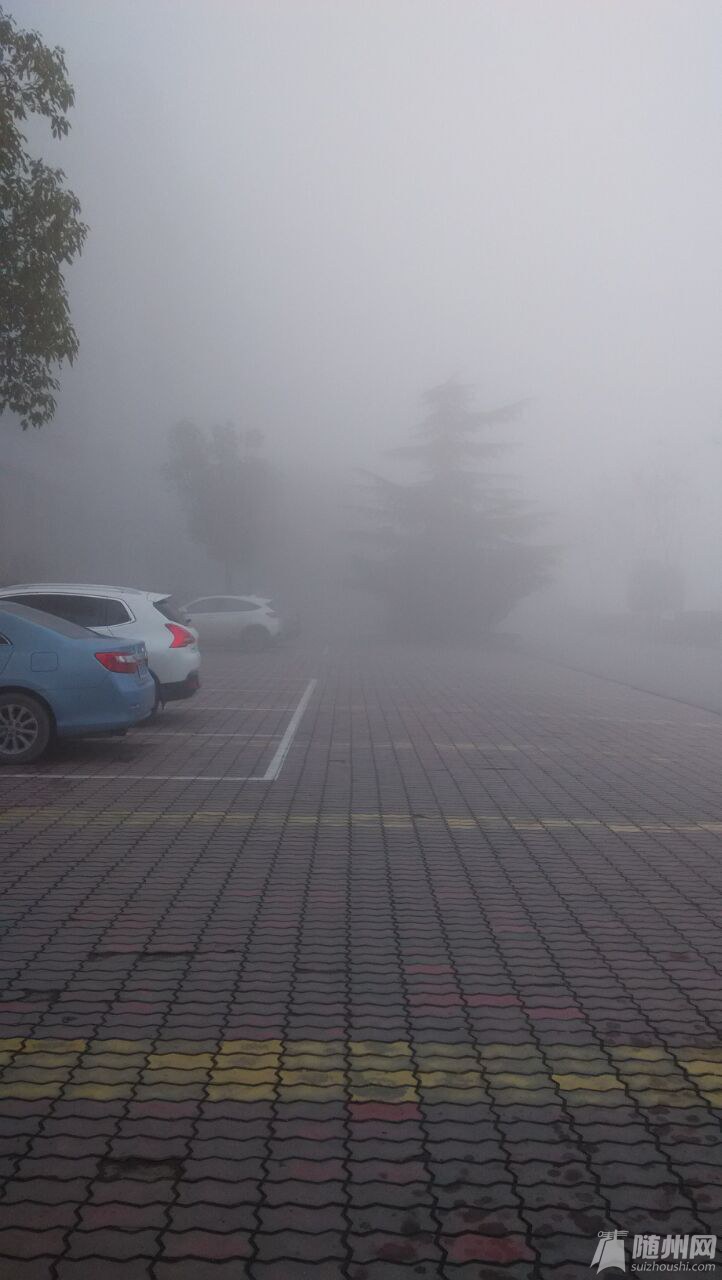 QQͼƬ20151225085543.jpg
