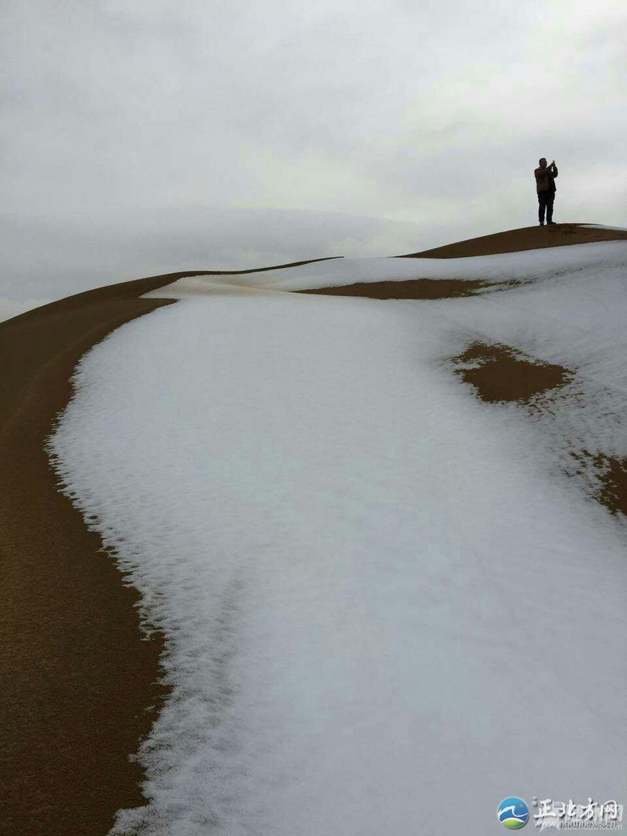 沙漠下雪的美景