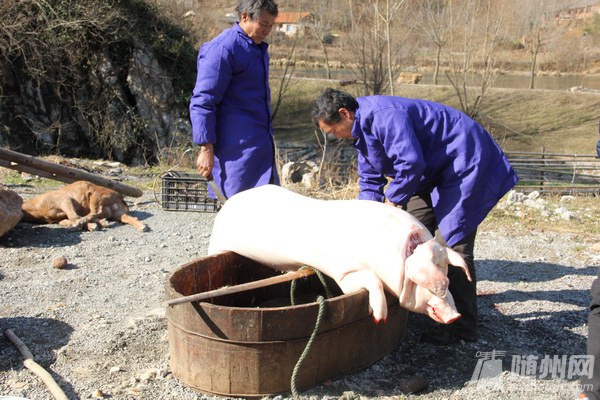 IMG_2748_调整大小.JPG