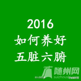 2016ȫ
