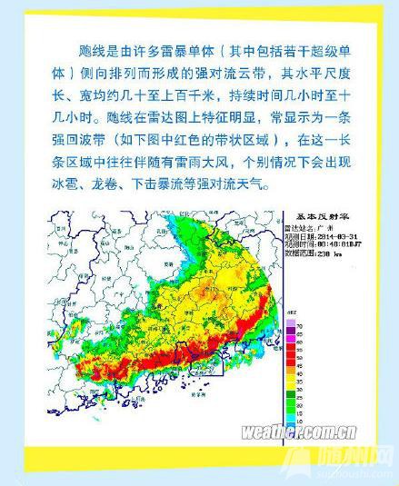 #֮ǵ鱨#ǡ»