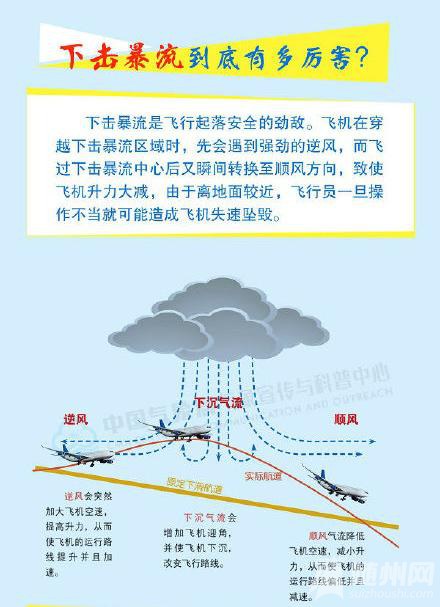#֮ǵ鱨#ǡ»