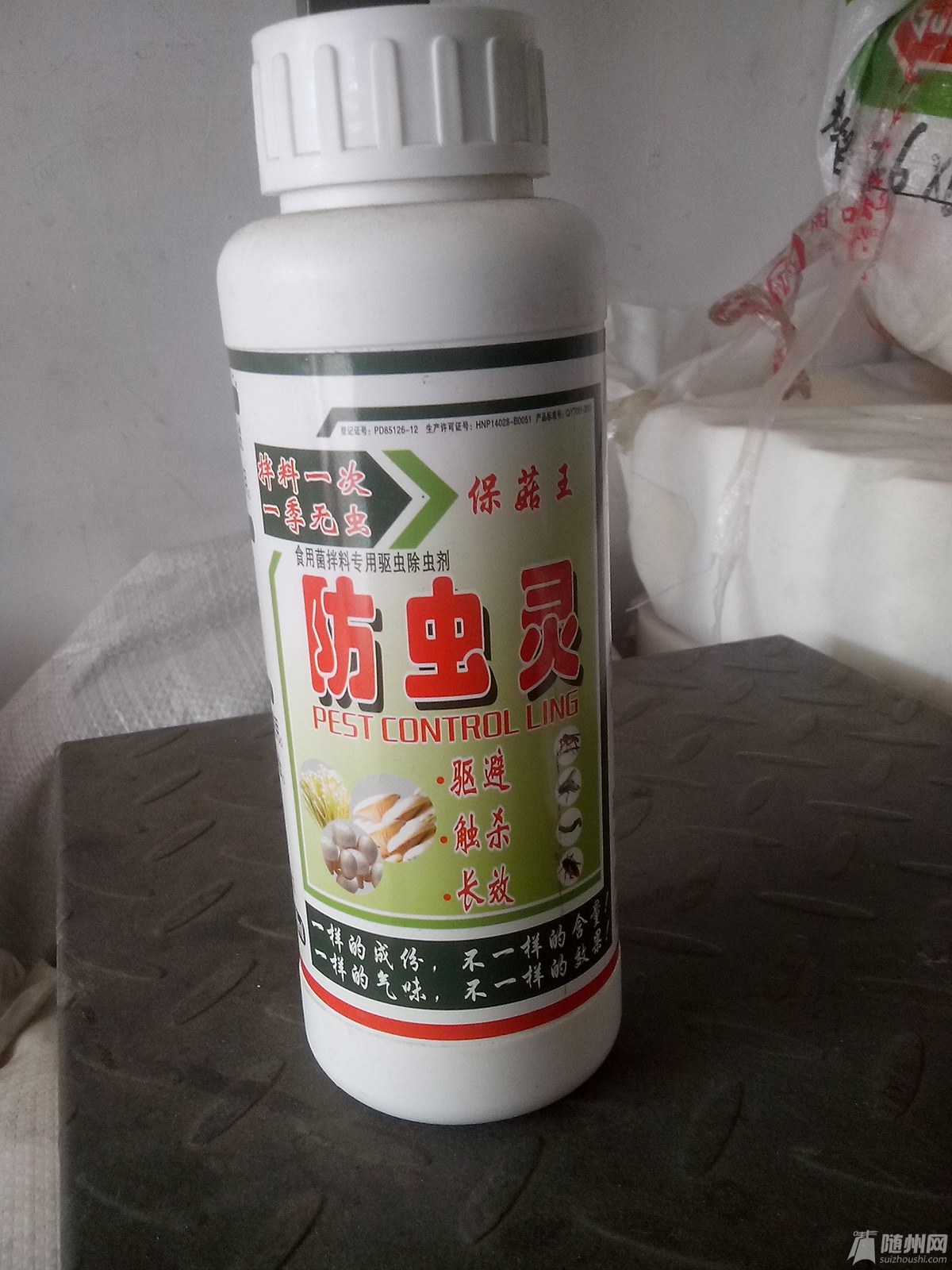 Ƭ_20131020_104255.jpg