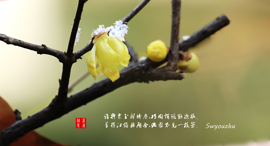 4B1A4446.jpg