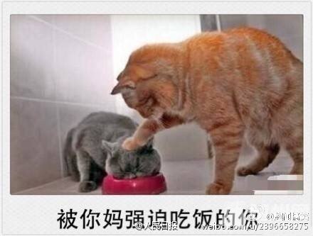 ڼ