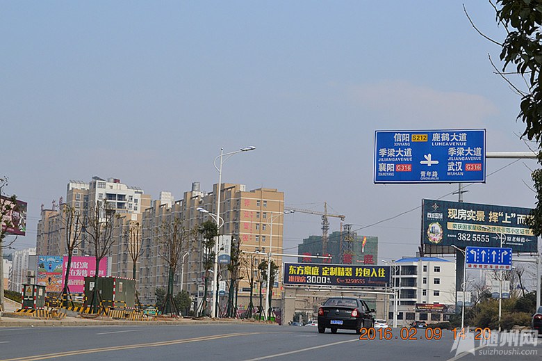 DSC_7316_副本.jpg