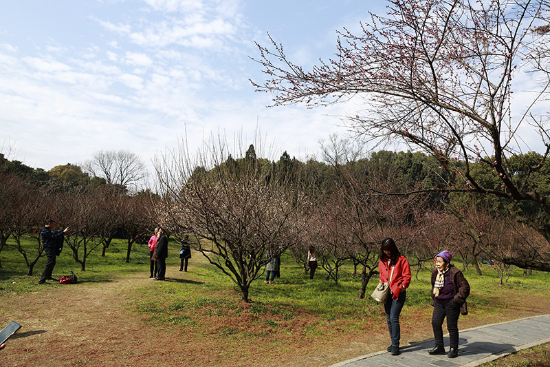 4B1A4857.JPG