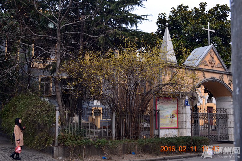 DSC_7409_.jpg