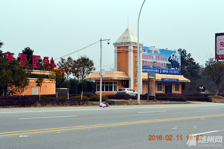 DSC_7419_.jpg