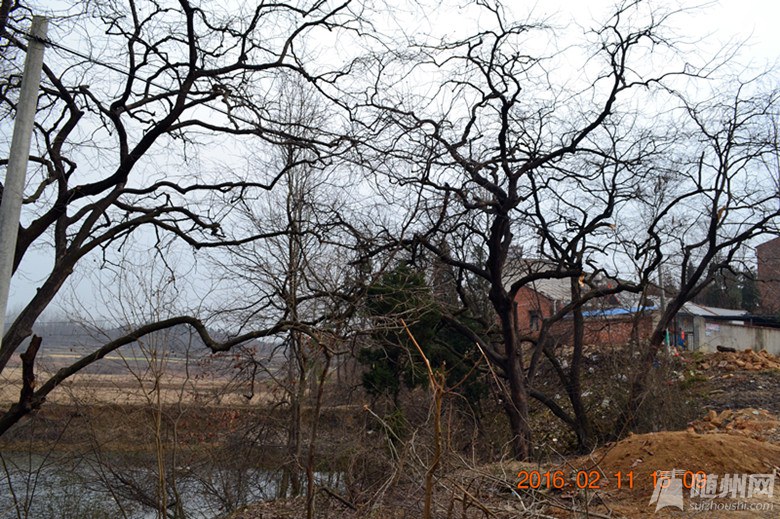 DSC_7435_.jpg