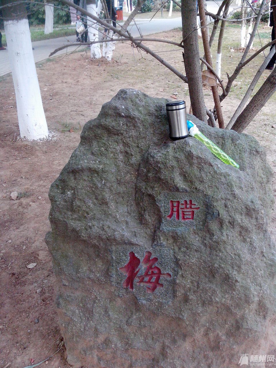 33.jpg
