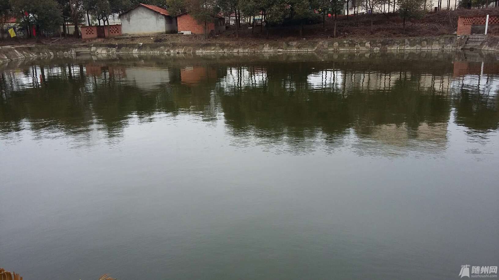 1455344864881.jpg
