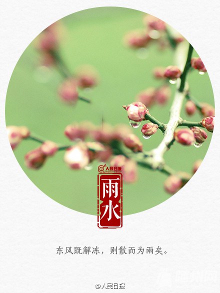 今天雨水