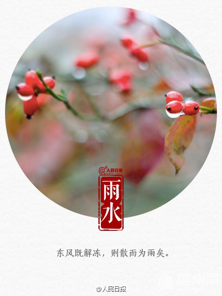 今天雨水