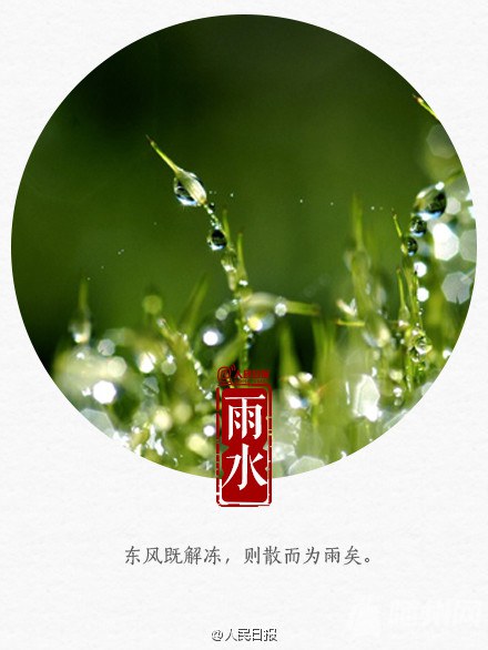 今天雨水
