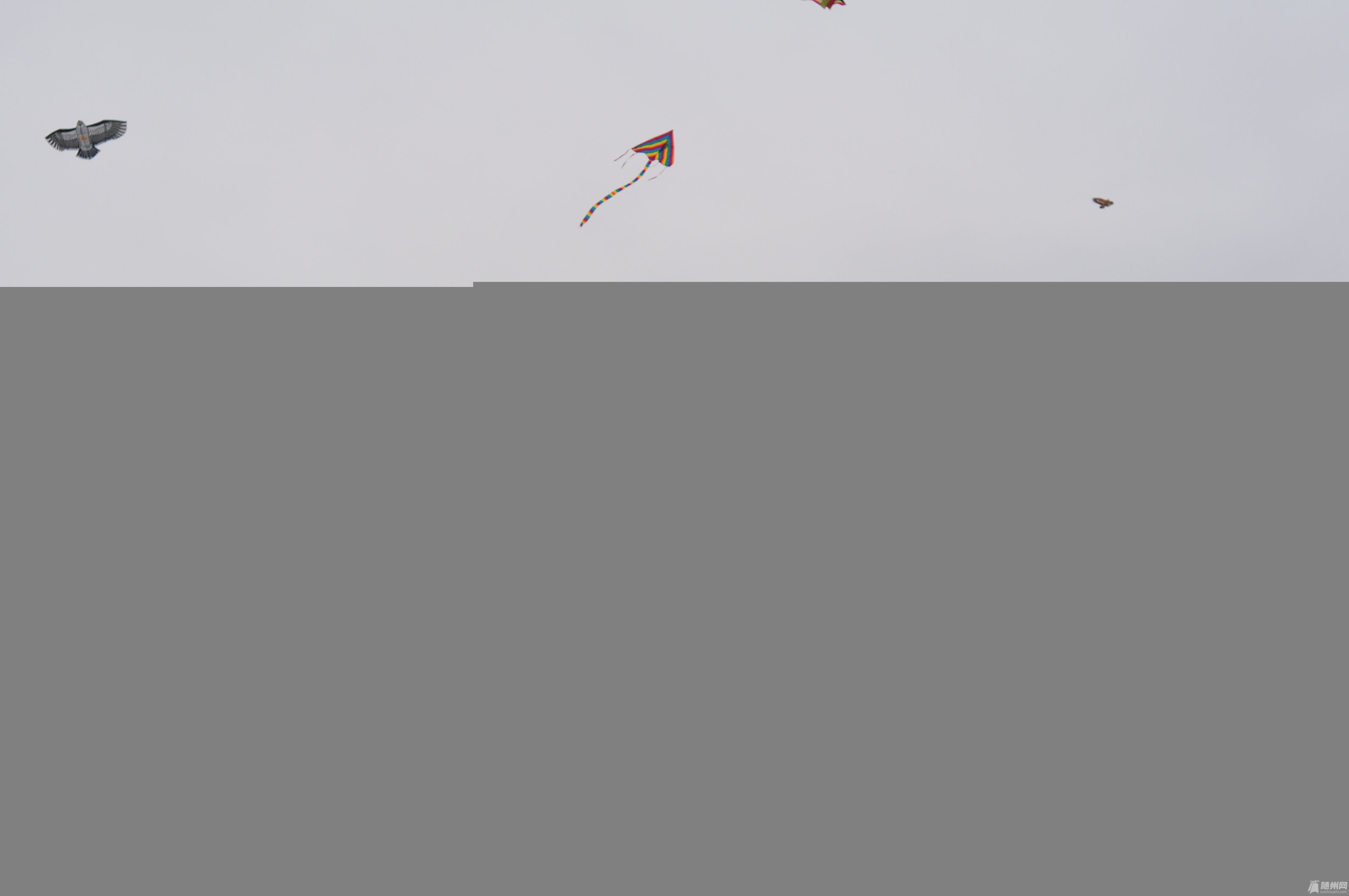 QQͼƬ20160219135209.jpg