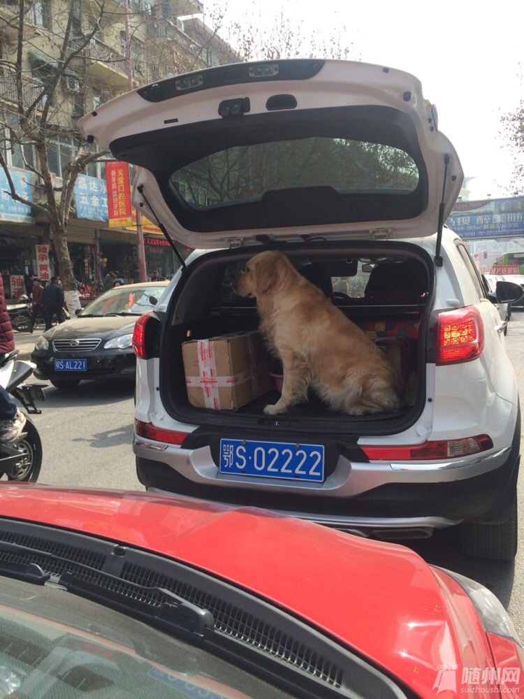 file.jpg