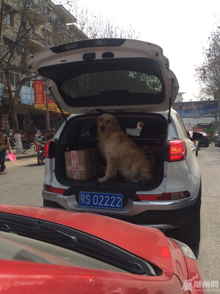 file.jpg