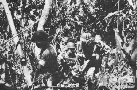 廳йԶ