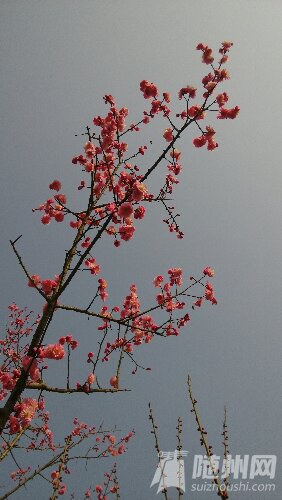 IMG_20160226_154752.jpg