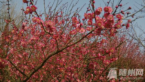 IMG_20160226_153829.jpg