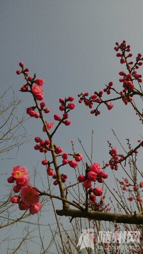 IMG_20160226_155449.jpg