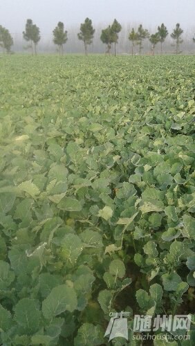 20160228_084201.jpg