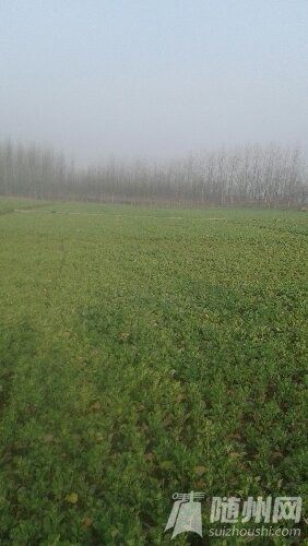 20160228_083047.jpg