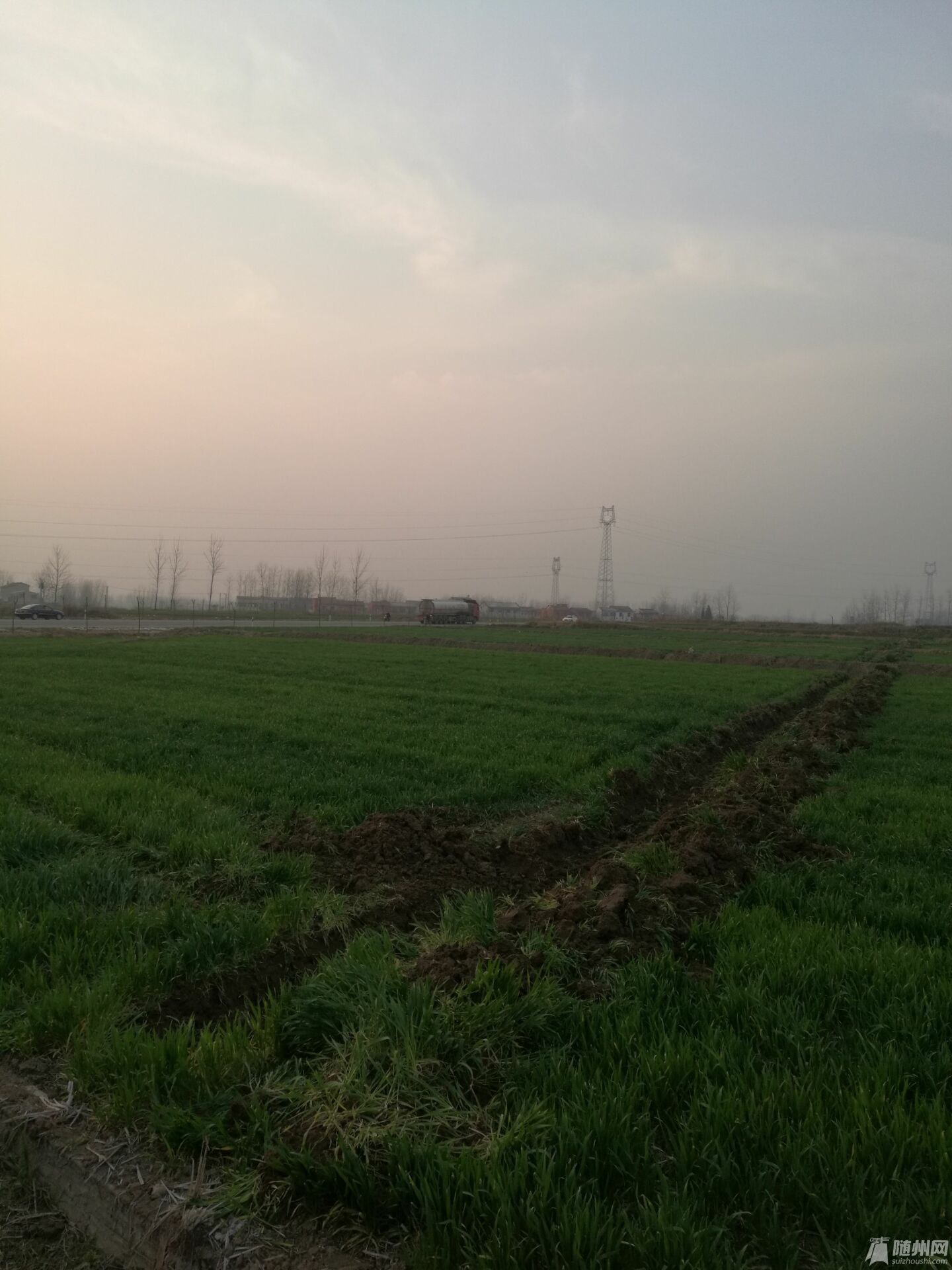QQͼƬ20160303201332.jpg