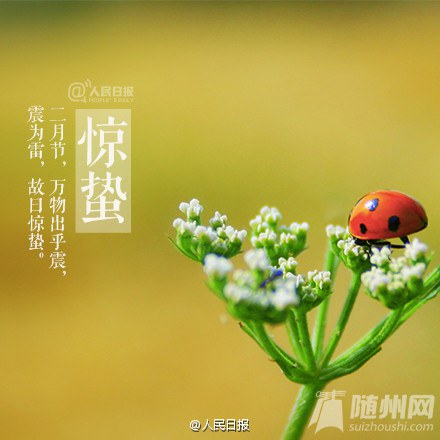 今日惊蛰，春回大地！