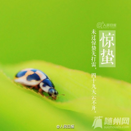 今日惊蛰，春回大地！