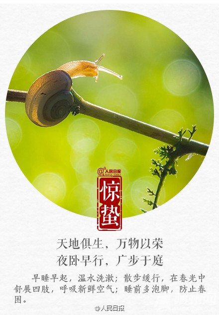 今日惊蛰，春回大地！