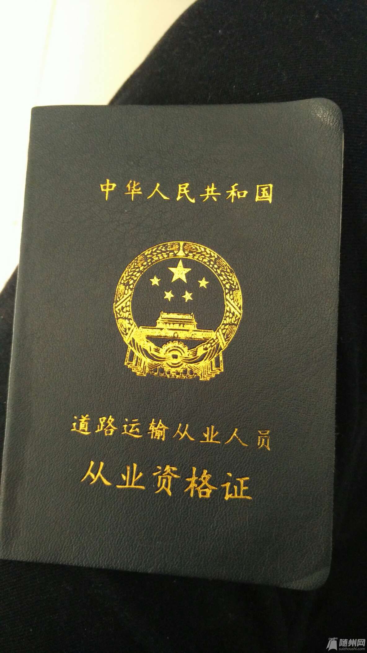 1457445056955.jpg