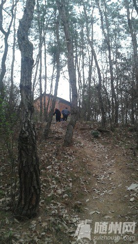 20160313_162201.jpg