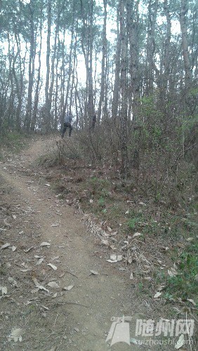 20160313_162114.jpg