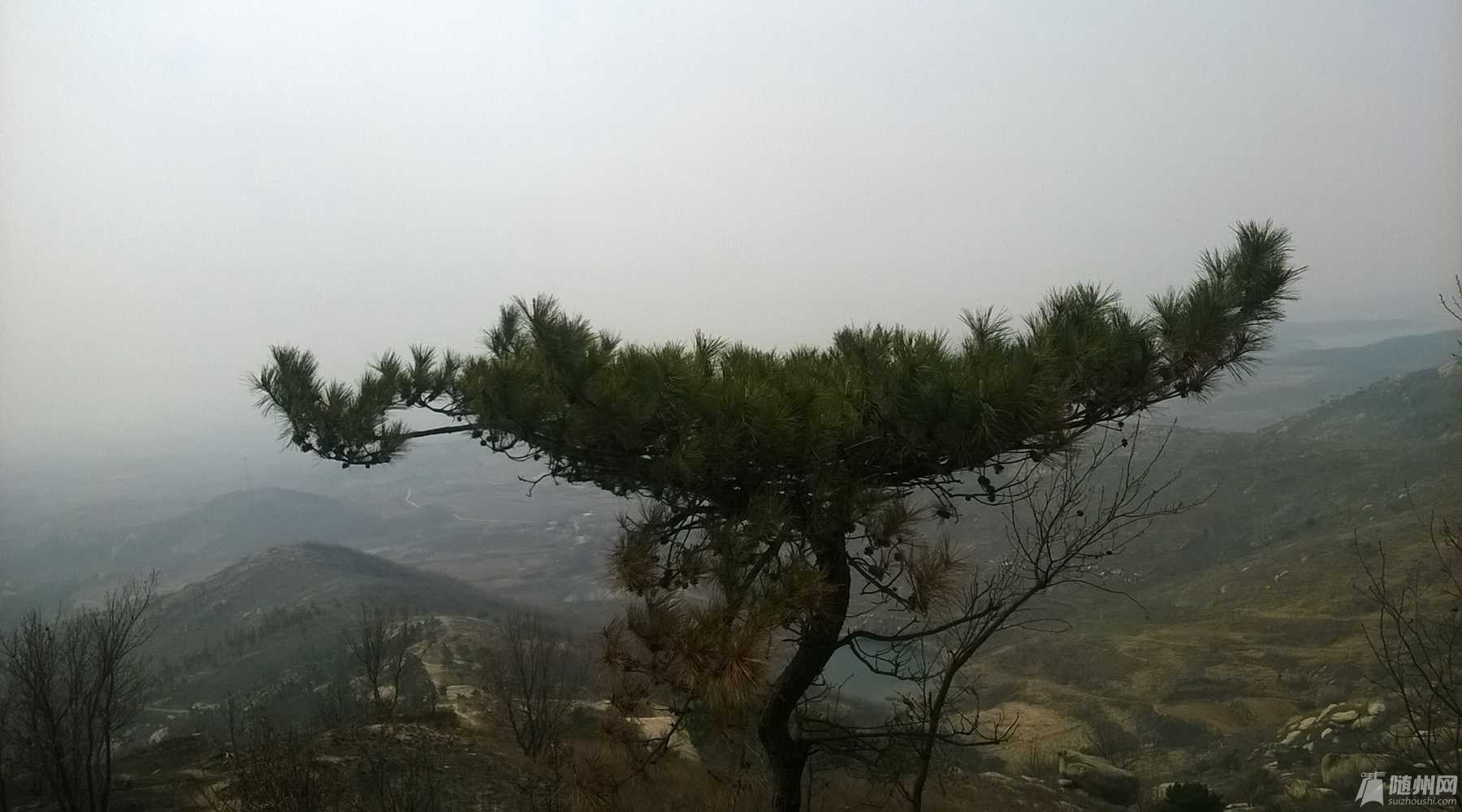 WP_20160313_12_34_42_Pro.jpg