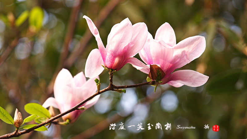 IMG_5084.jpg