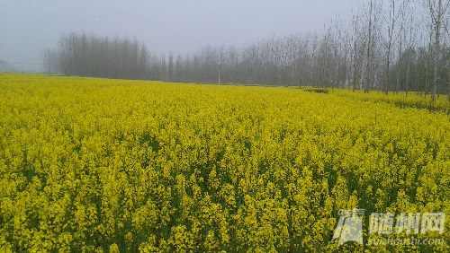 20160320_092611.jpg