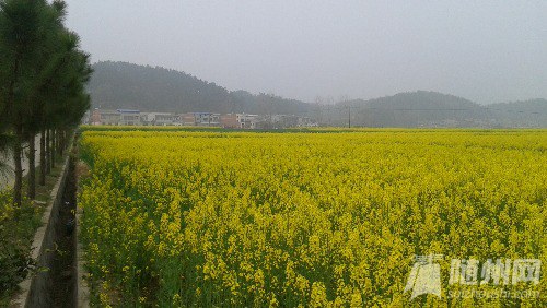 20160320_092600.jpg