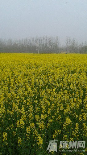 20160320_092435.jpg