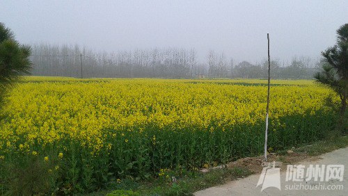 20160320_092300.jpg