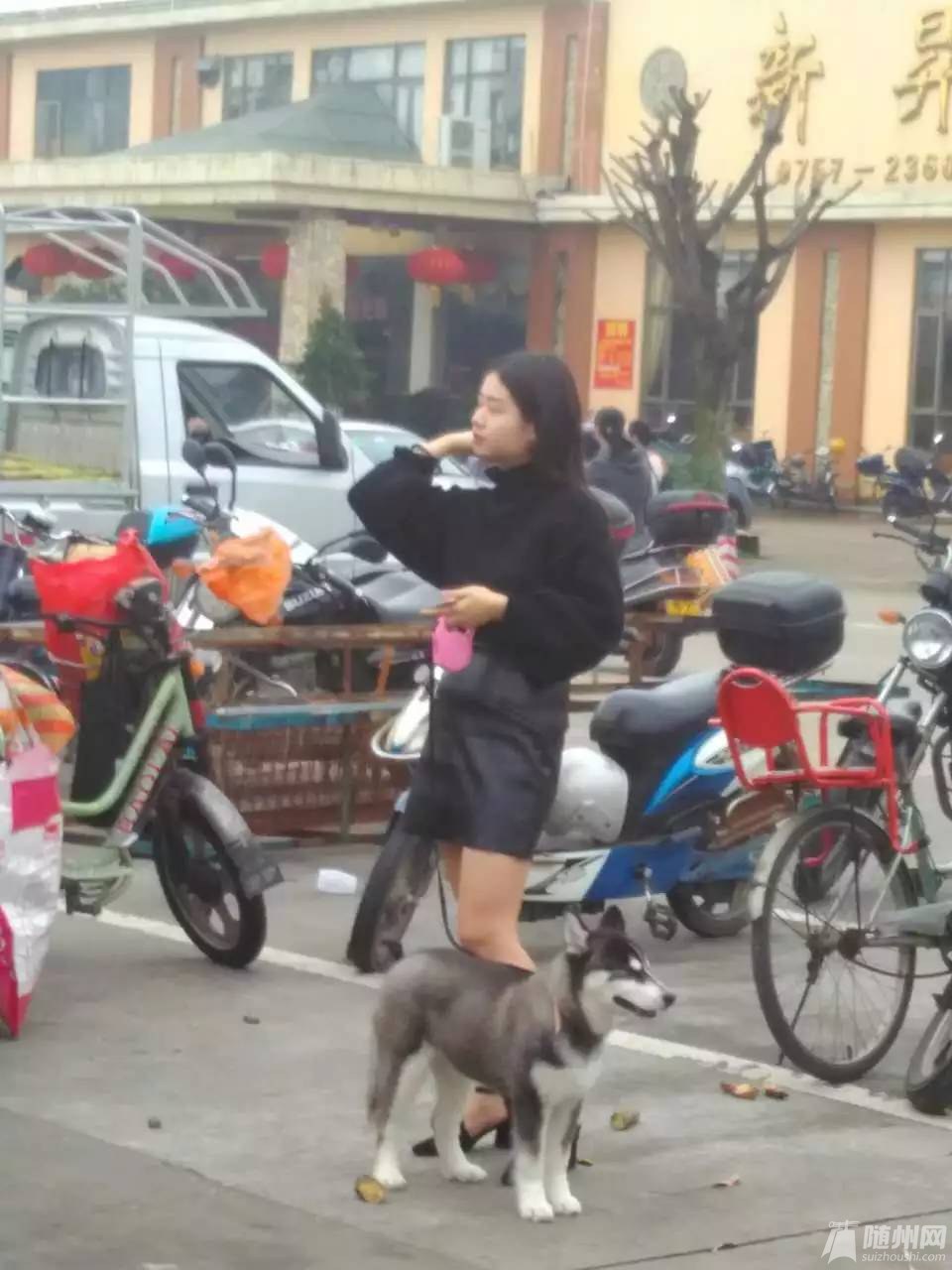 100946w66kpzjptjx8tsbs.jpg