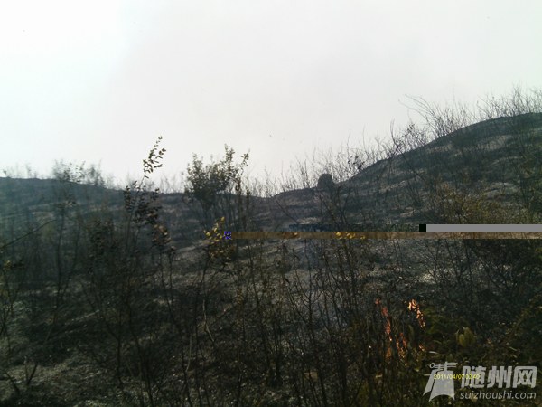 201245214735875.jpg