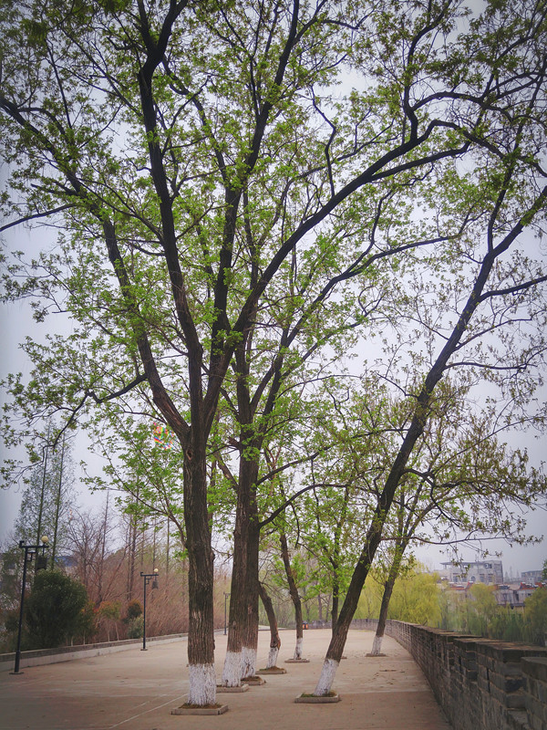 C360_2016-03-20-18-36-25-928.jpg