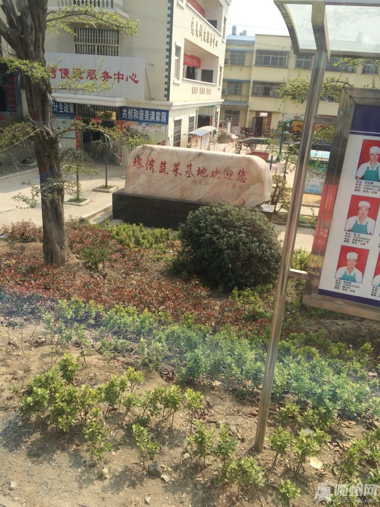 file.jpg