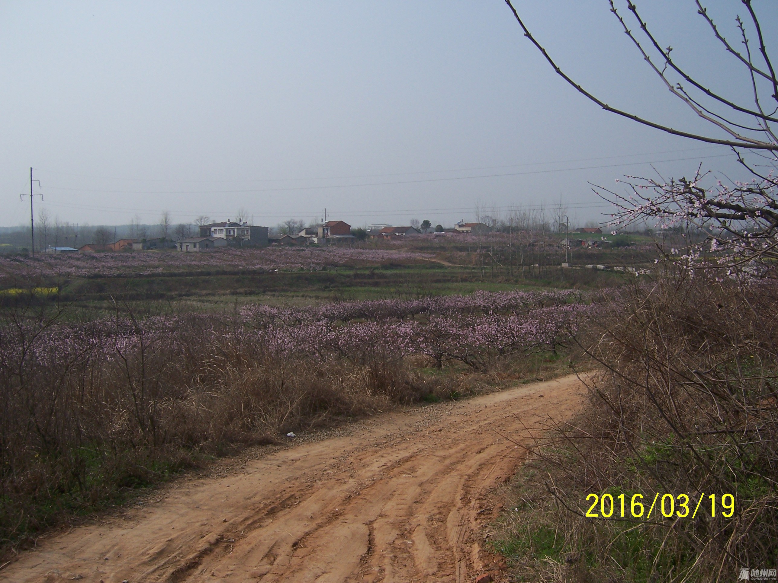 100_4394.JPG