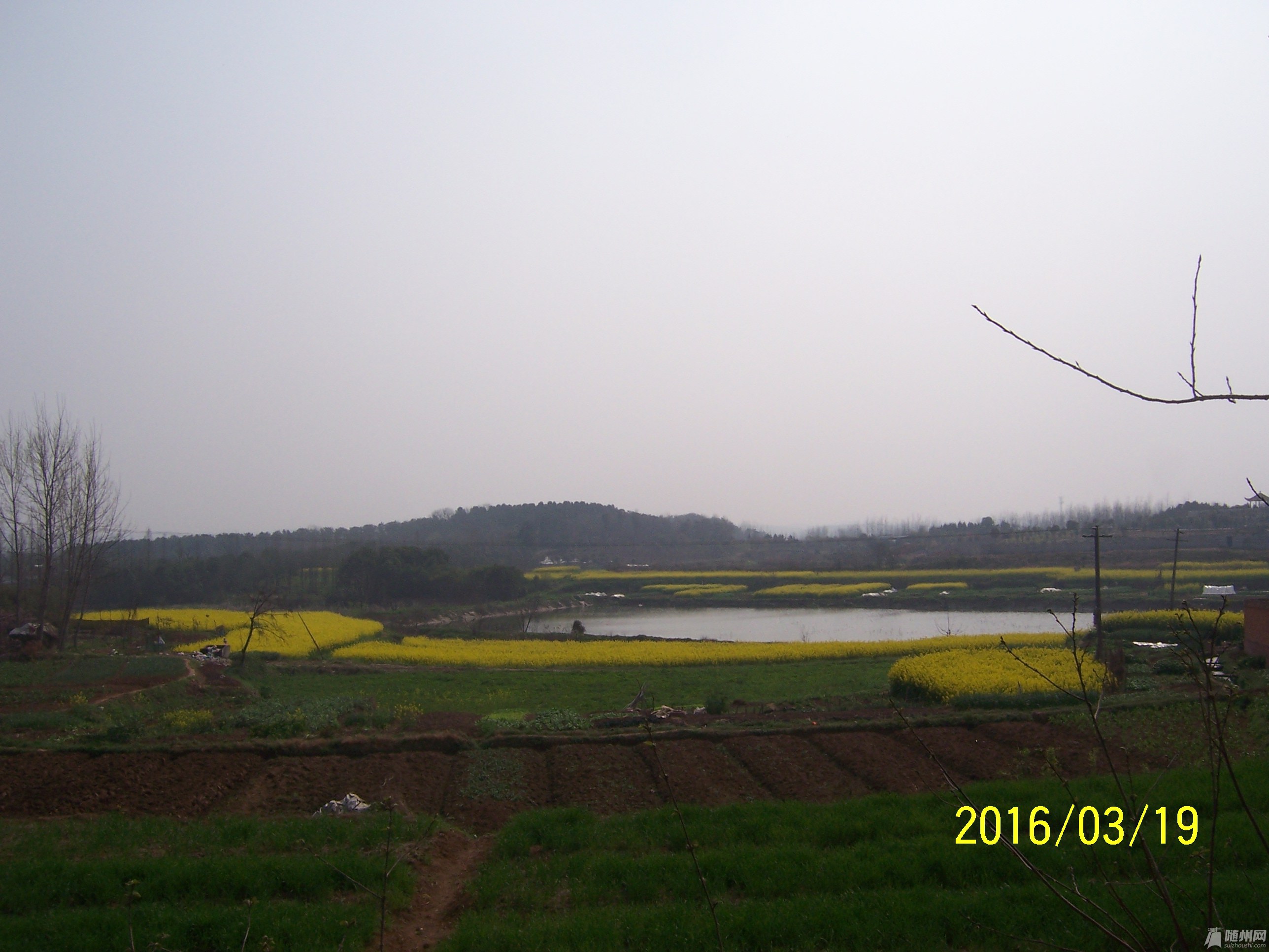 100_4385.JPG