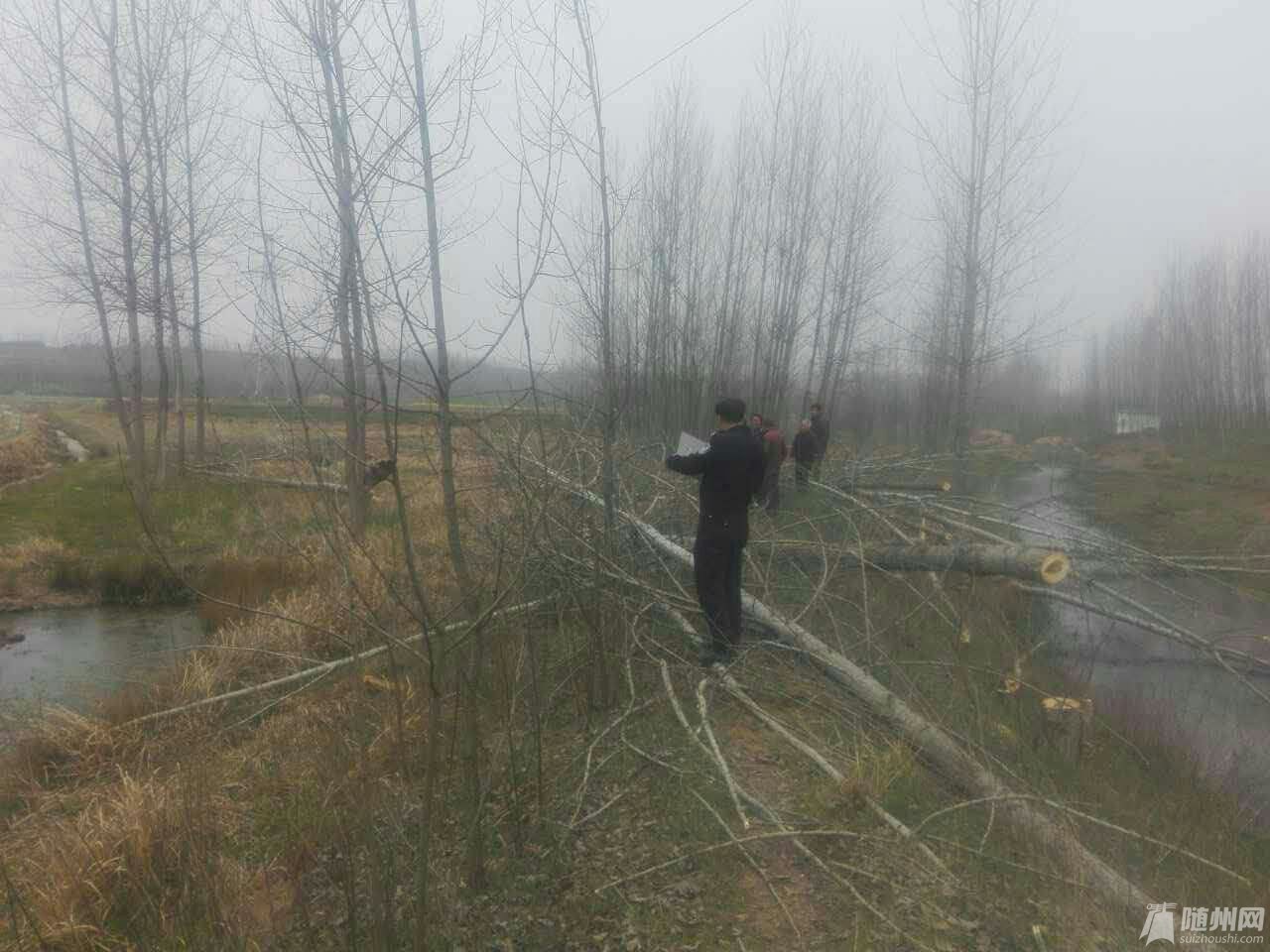 ľ